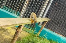 Damajagua 27 Waterfalls and Monkey Jungle Adventure