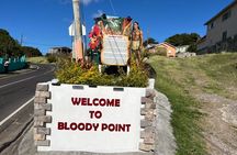 St. Kitts: Bloody Point River Hike–Petroglyphs+Bat Cave Adventure
