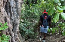 St. Kitts: Bloody Point River Hike–Petroglyphs+Bat Cave Adventure