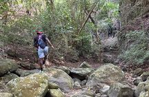 St. Kitts: Bloody Point River Hike–Petroglyphs+Bat Cave Adventure