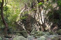St. Kitts: Bloody Point River Hike–Petroglyphs+Bat Cave Adventure