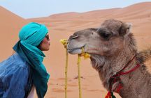 Marrakech : agaFay desert everything is included ( full package)
