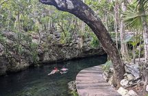 Tulum Private Cenotes Trio - Open, Semi Open and Cave experience