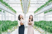 YokaBus Fukuoka Uminonakamichi, Strawberry Farm and Chinkokuji