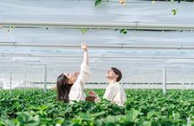 YokaBus Fukuoka Uminonakamichi, Strawberry Farm and Chinkokuji