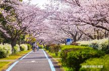 YokaBus Fukuoka Uminonakamichi, Strawberry Farm and Chinkokuji