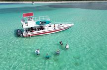 Cozumel’s Reef Jewels Tour