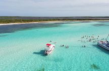 Cozumel’s Reef Jewels Tour
