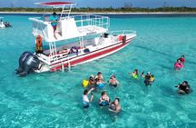 Cozumel’s Reef Jewels Tour