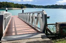 Singapore Speedboat Maritime Guided Tour