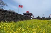 Jeju UNESCO Highlights Tour | Lava cave & with Haenyeo Show