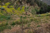 Namo Budhha Monastery, Dhulikhel & Panauti Village Private Tour