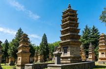Zhengzhou Private Tour to Shaolin Temple including Kungfu Lesson and Activities