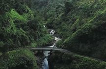 Open-Air! Road to Hana Jungle Adventure Tour! (5.5 Hours)