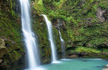 Private Open-Air Road to Hana Tour 6 hour (max 14 guests)