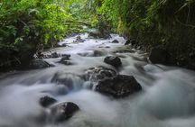Pacos Horseback Riding and Hot Springs Day Tour - Lunch Included