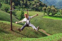 Tarzan World Zipline and ATV Guided Tour Chiang Mai