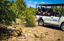 Victoria Falls Chobe Day Trip