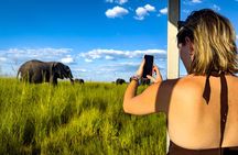 Victoria Falls Chobe Day Trip