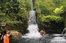 Exploration Bali Swing, Purification, Rice Terrace & Waterfall