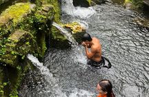 Exploration Bali Swing, Purification, Rice Terrace & Waterfall