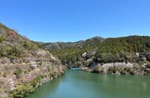 Private E-bike Adventure in Osaka's Hills