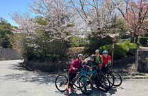 Private E-bike Adventure in Osaka's Hills