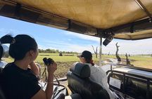 Udawalawe National Park- 4 Hour Private Safari Tour