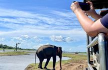 Udawalawe National Park- 4 Hour Private Safari Tour