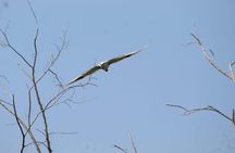 Udawalawe National Park - Full Day Safari Tour