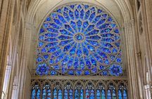 Fat Cat Early Access Notre-Dame Tour | Limited to 5 Guests