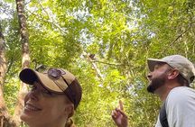 Cobá Archaeological Site, Monkey Habitat + Lunch Private SUV Tour