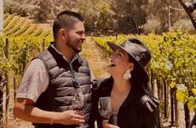 Valle de Guadalupe Couples Wine Tour