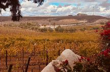 Private Curated Wine Tour in Valle de Guadalupe 