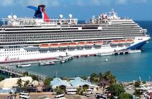 Ocho Rios Scenic, Shopping and Lunch Tour