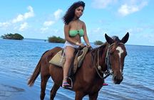 Blue Hole and Horse Riding with Swim Ocho Rios