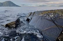 Explore Petroglyphs History and Nature in Wrangell by Walking