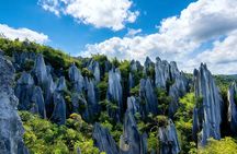 Kunming Private Day Tour to Stone Forest and Chengzi Ancient Town
