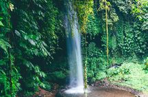 Bali Full Day Hidden Waterfalls Tour