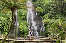 Bali Full Day Hidden Waterfalls Tour