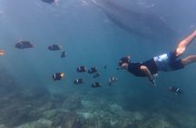 Hidden Beach Snorkeling Adventure