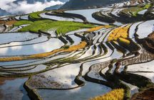 3-Day Private Tour to Jianshui and Yuanyang Hani Rice Terraces from Kunming