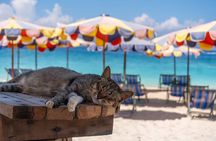 Lazy Phi Phi and Khai Waterslide by Speed Catamaran from Phuket