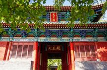 Luoyang Private Tour to Shaolin Temple including Kungfu Lesson