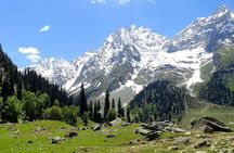 Sonamarg Day Tour to Meadows Glaciers Rivers and Valleys