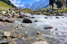 Sonamarg Day Tour to Meadows Glaciers Rivers and Valleys
