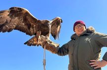  City Tour and Terelj National Park