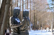 Korea's Best Nami Island & Garden of Morning Calm Trip from Seoul