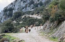 Kefalonia Premium 4×4 Sunset Experience
