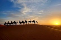 Marrakech 2-Hours Quad Bike & Camel Adventure with Moroccan Tea